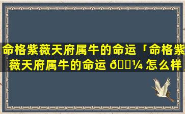 命格紫薇天府属牛的命运「命格紫薇天府属牛的命运 🐼 怎么样」